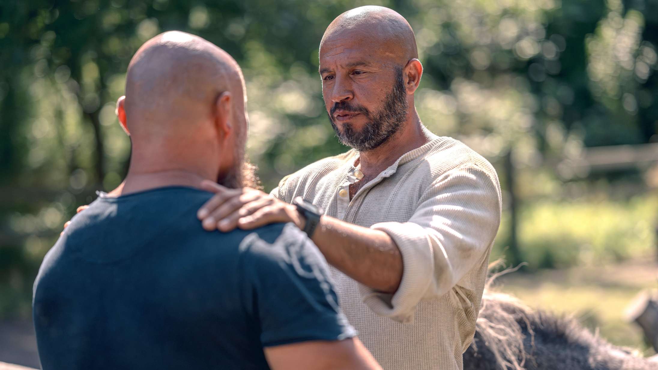 ’Herkules’: Dar Salim står knivskarpt i intens dansk actiondrama – en film for mænd, der vil mærke noget