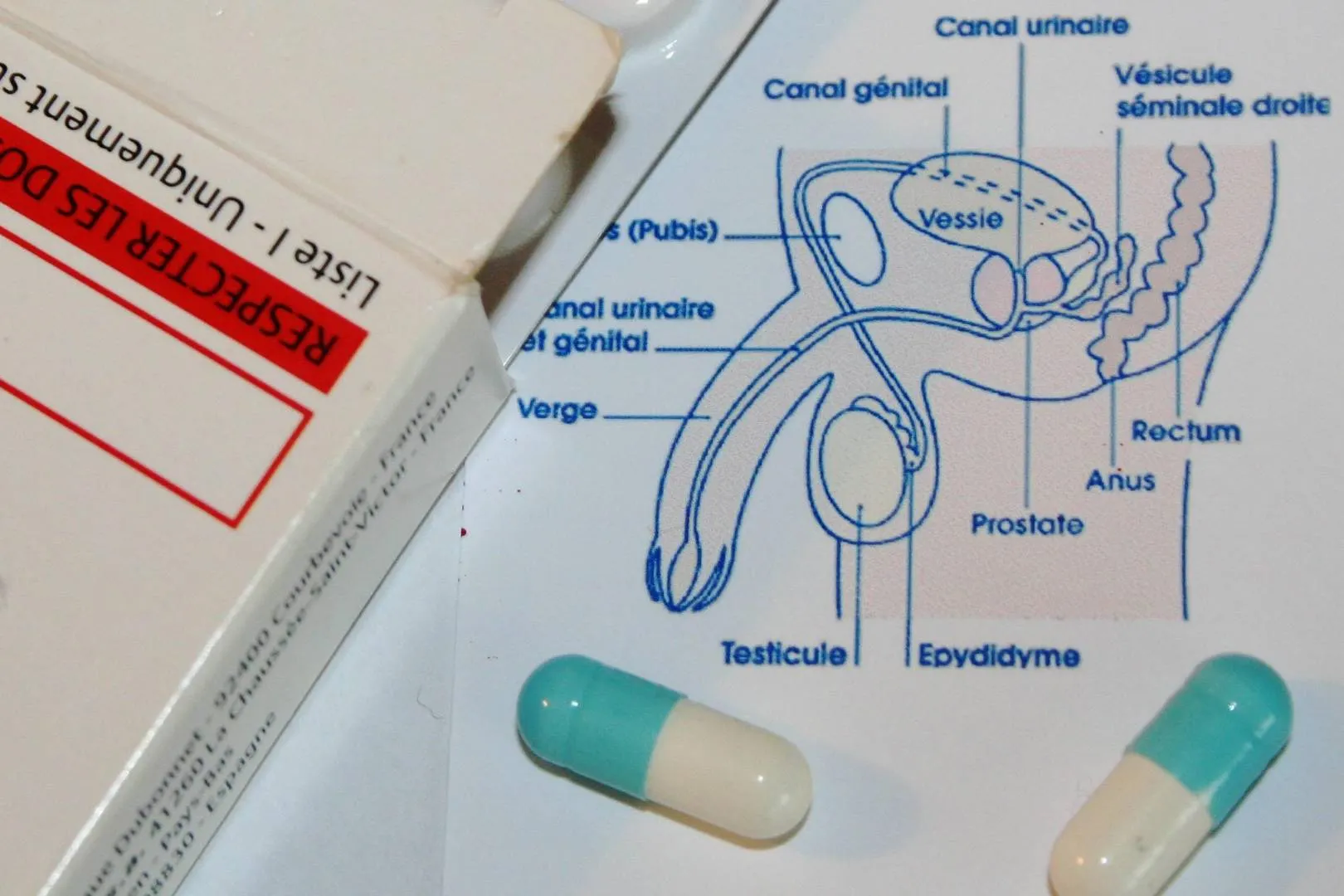 BEDST I TEST: Stor test af potenspiller og guide til behandling af rejsningsproblemer