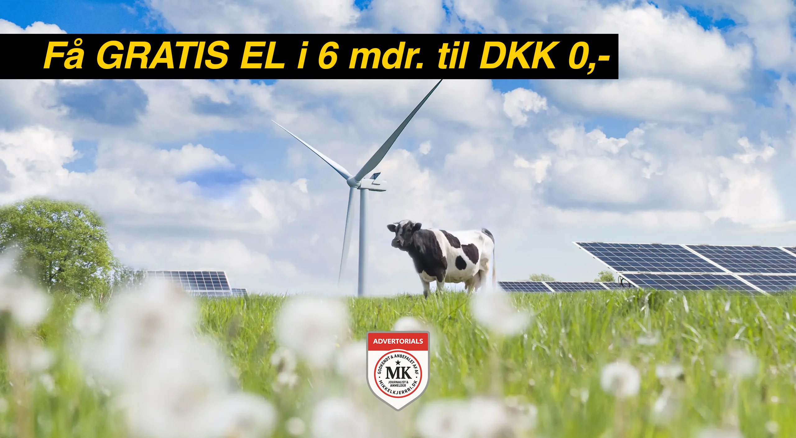 Hack din elregning: Få 6 måneder for 0 kr. og send pengene direkte til ferie-kontoen