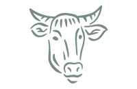 Nordic Jerky
(beef jerky snack)